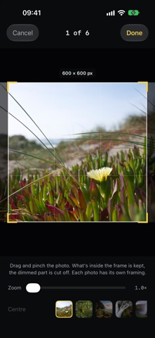 SartorX screenshot 5