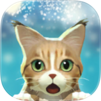 Kitty Cat Resort : cat games