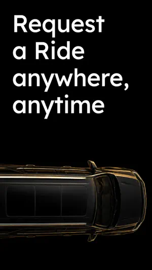 Blairstown Limousine screenshot 1