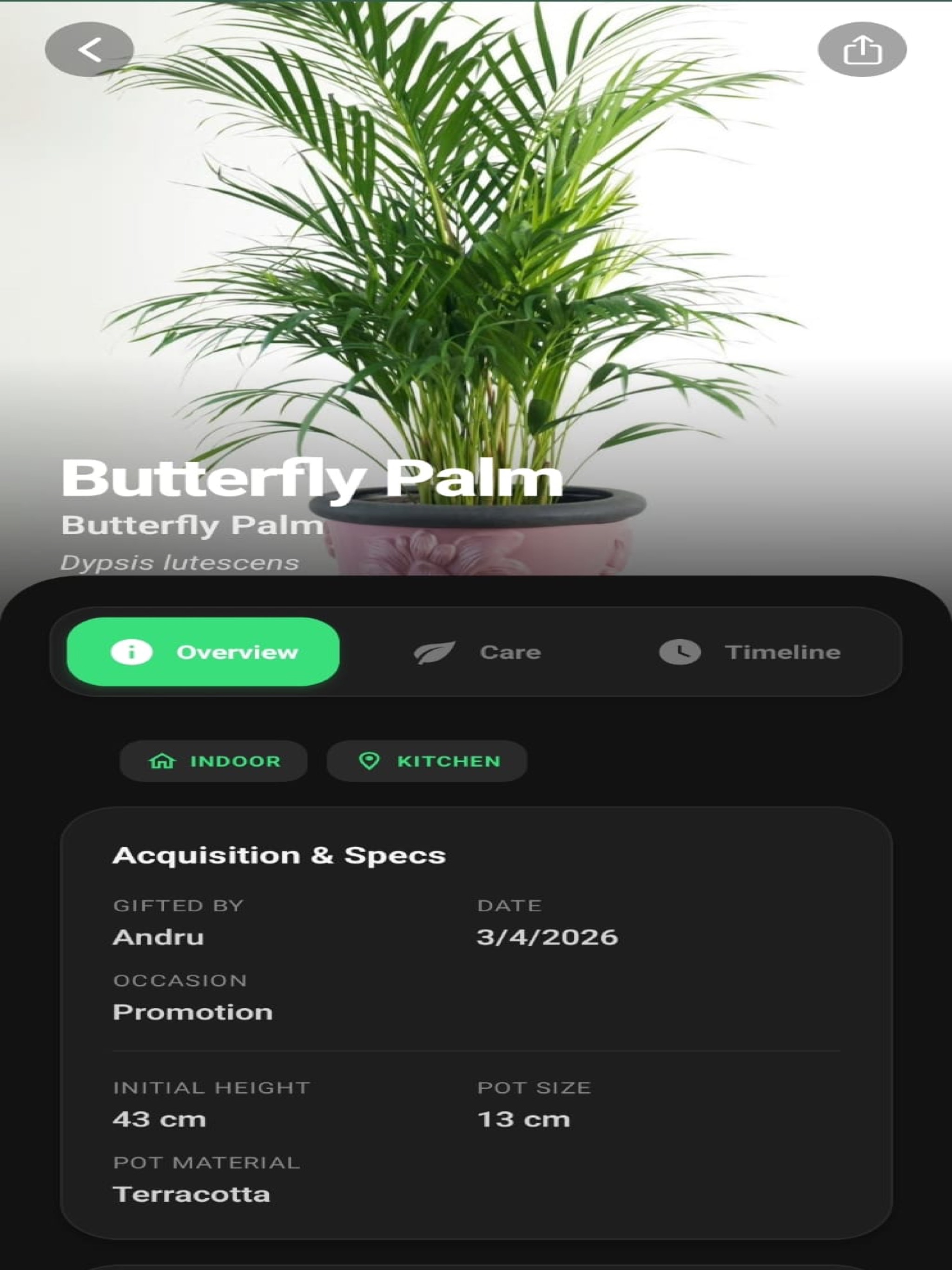 PlantSaga screenshot 10