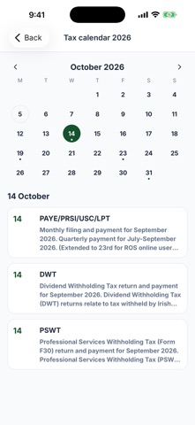 Irish Tax Hub screenshot