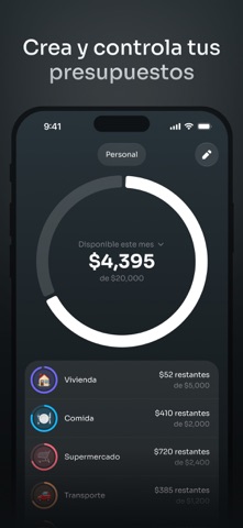 Quanto: Gastos y Presupuesto iPhone screenshot 3