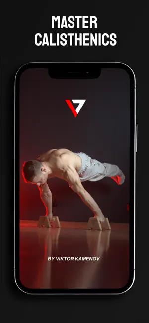 VIKTORY screenshot 1