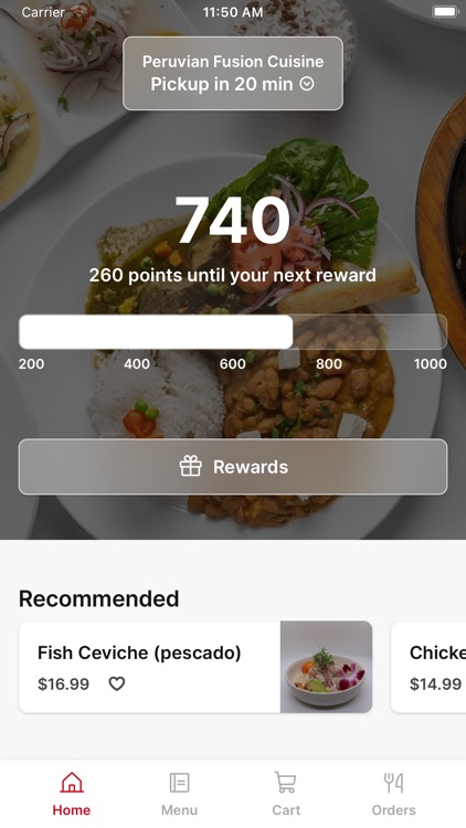 Peruvian Fusion Cuisine