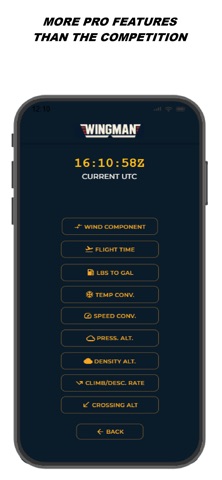 Pilot Wingman Screenshot 6 of 10