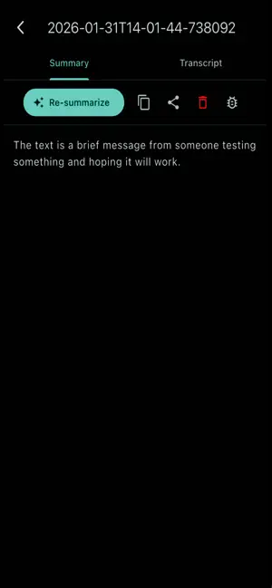 Record and Summarize screenshot 3