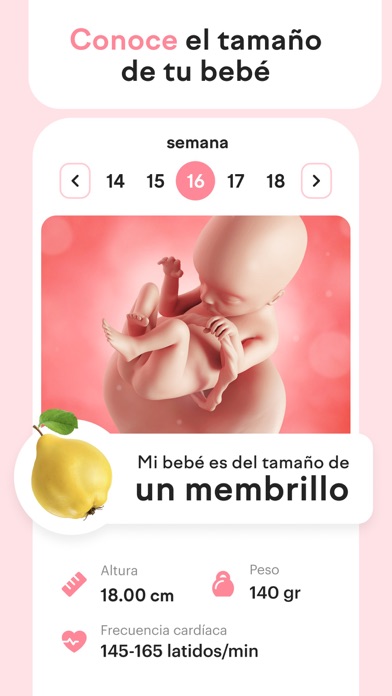 amma: Embarazo Semana a Semana screenshot 3