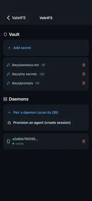 ValetFS screenshot 1