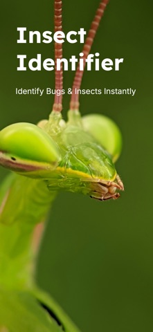 Insect Identifier - Insectr Screenshot 1 of 5