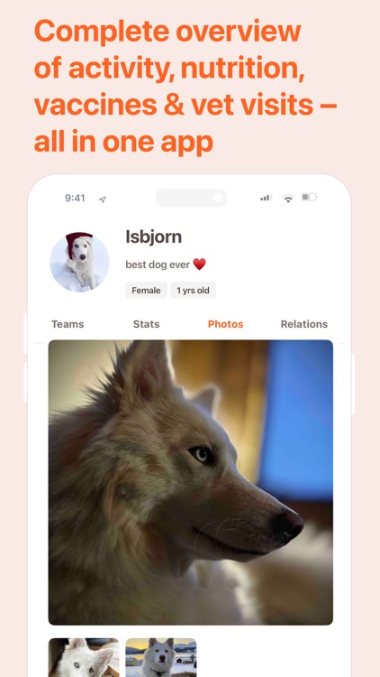 Qpaws: Track Dog Sports & Care screenshot-4