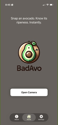 BadAvo screenshot