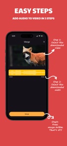 Merge: add audio to video screenshot