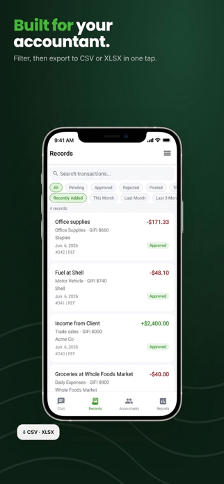Voice Accountant Screenshot 6 of 9
