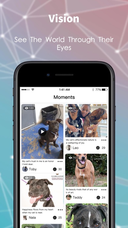 DoggieDen-For the love of dogs