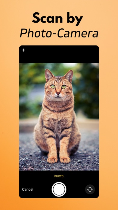 Screenshot #3 pour Cat Breed Identifier