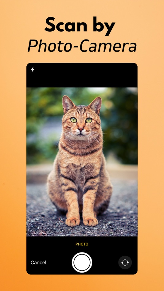 #3. Cat Breed Identifier (iOS) Podle: Arda Sen