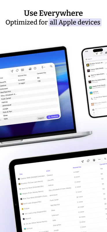 Key Finder - Analyze any scale screenshot 6 of 6