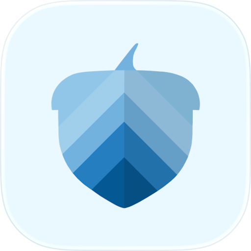 Acorn Finance