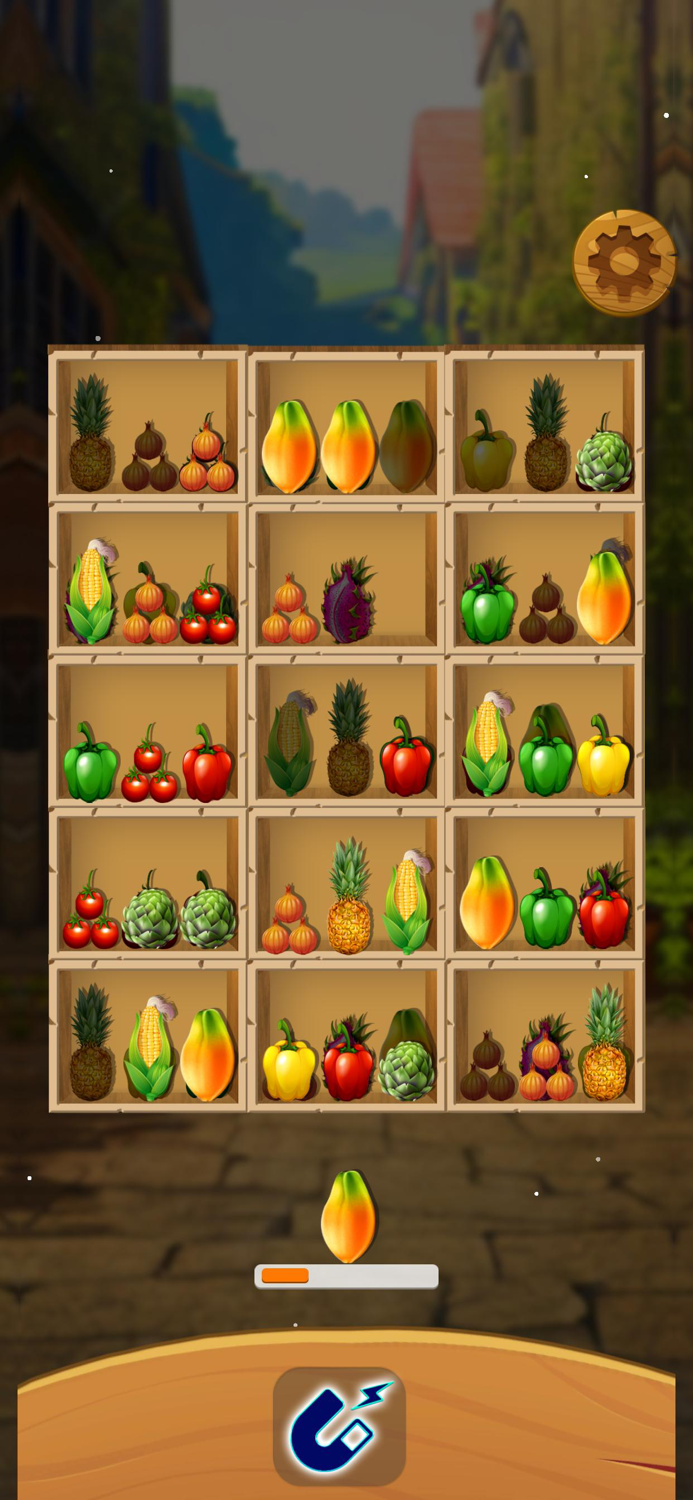 Sort Grocery Store Organizer