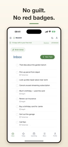 Molehill - ADHD Task Manager Screenshot 6 of 6