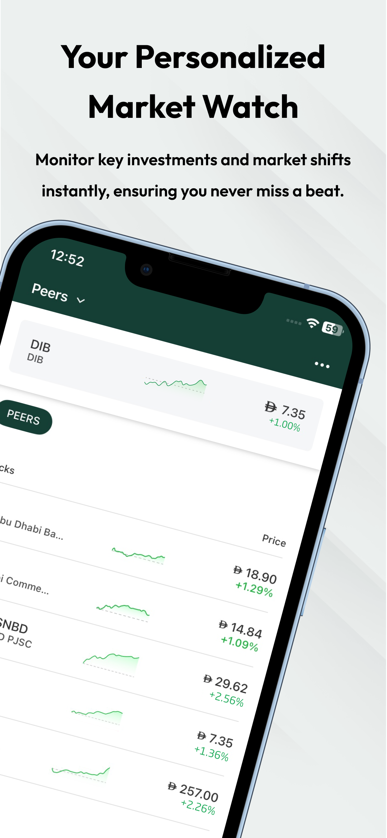 DIB Investor Relations screenshot 6