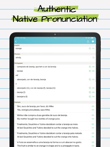 Portuguese English Dictionary. iPad screenshot