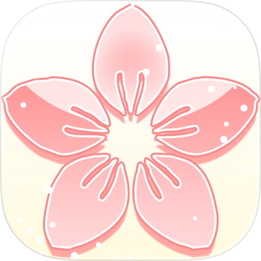 某某宗女修修炼手札