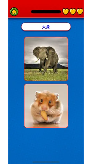 Learn Taiwanese Flashcards screenshot 2