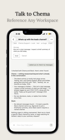 Chema Intelligence screenshot