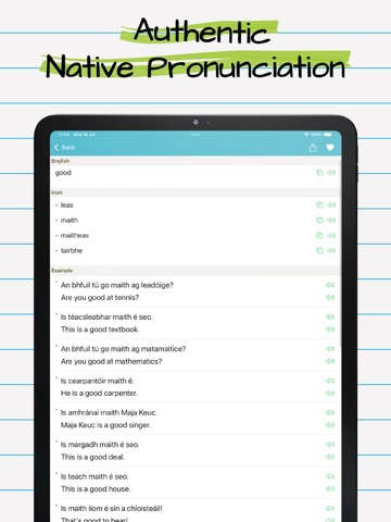 Irish English Dictionary + iPad screenshot