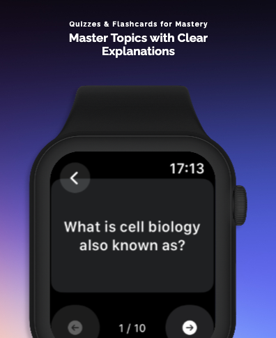 MemoNote: Quizzes & AI Summary