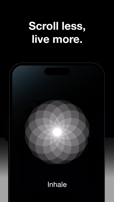 Screenshot #3 pour Blank Spaces Launcher (-)