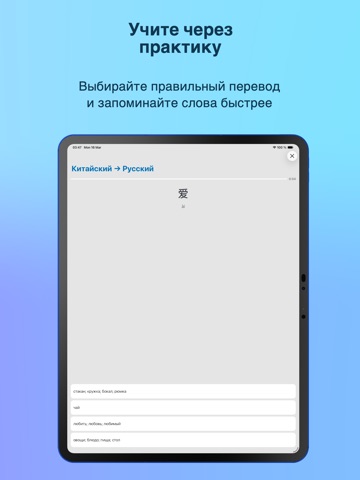 HSK список слов и флэшкарточки iPad screenshot