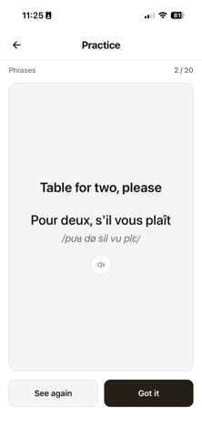 Travel With Me: Phrasebook iPhone screenshot