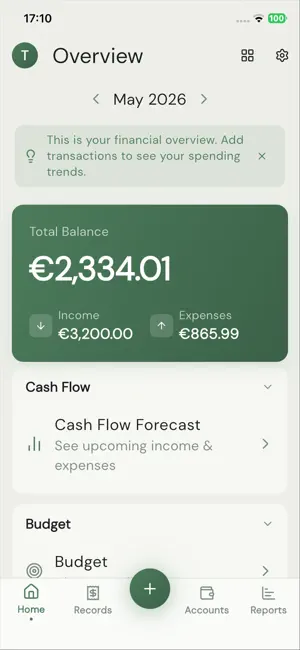Financial Flows screenshot 1