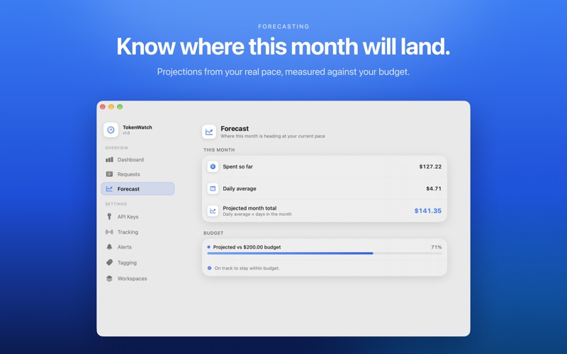 TokenWatch: AI Cost Tracker screenshot 7