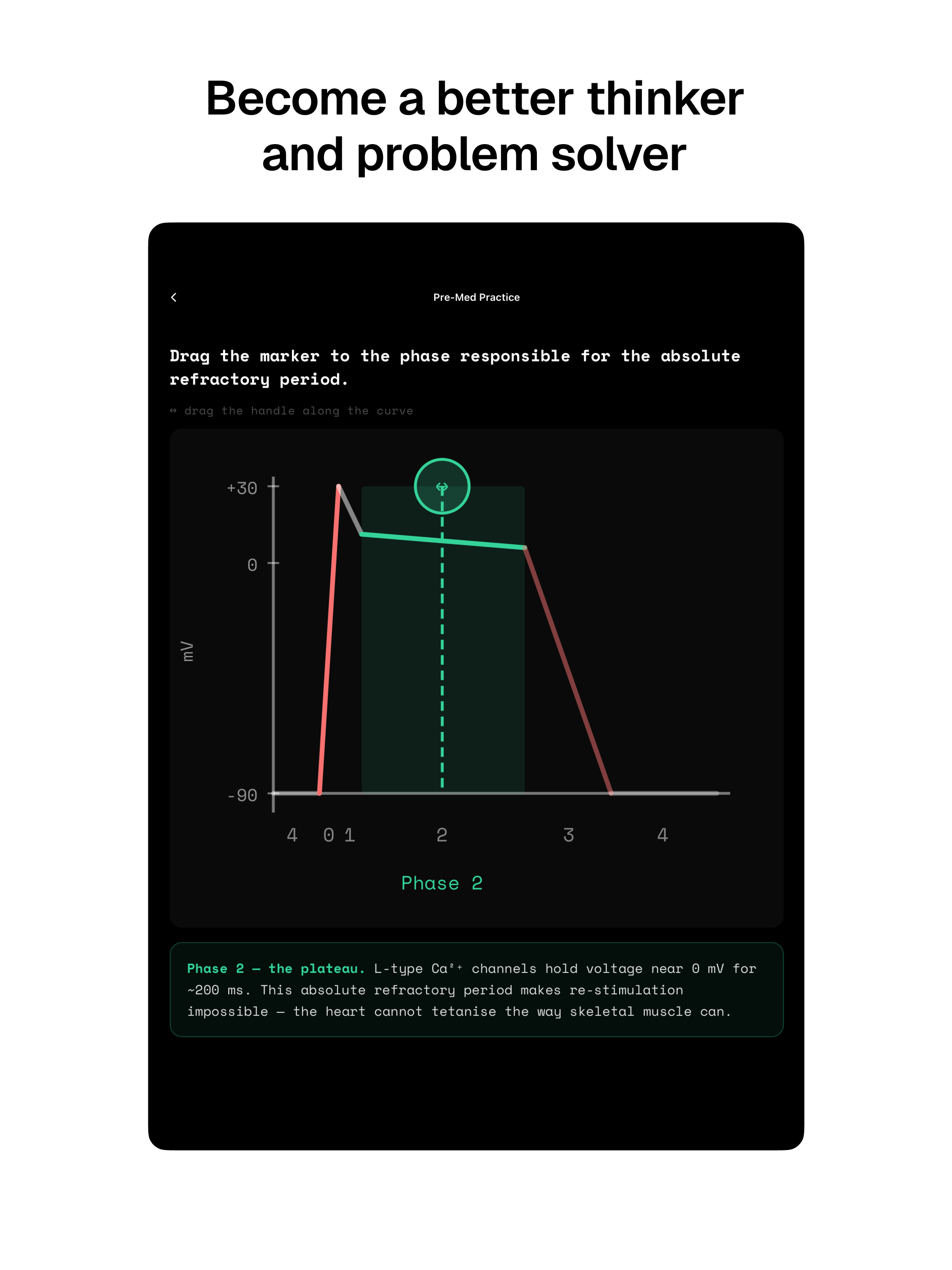 Notears AI - Learn by Doing screenshot 12