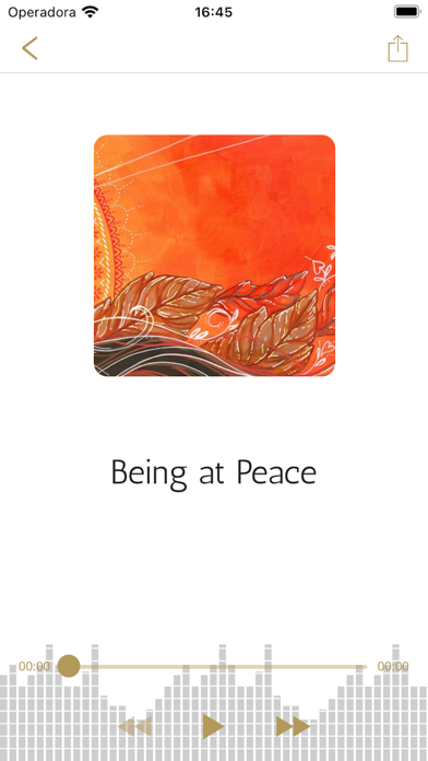 Raja Yoga Meditations Screenshot