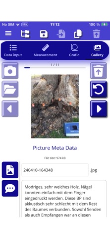 IML Tree Inspection screenshot