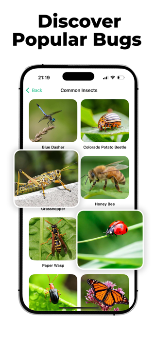 Insect ID - Bug Finder Screenshot 6 of 6