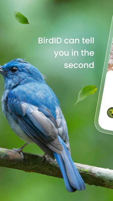 Screenshot #2 pour Bird ID: Bird call identifier