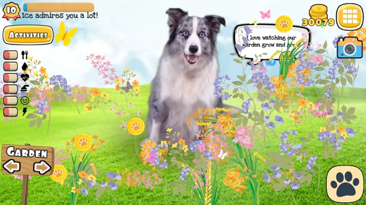 Fruwee: Virtual Pet Dog Games screenshot-5