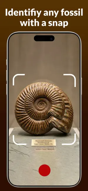 Fossil Identifier : FossilScan screenshot 1