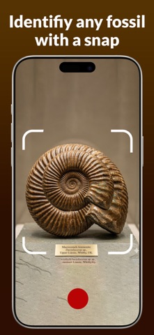 Fossil Identifier : FossilScan Screenshot 1 of 5