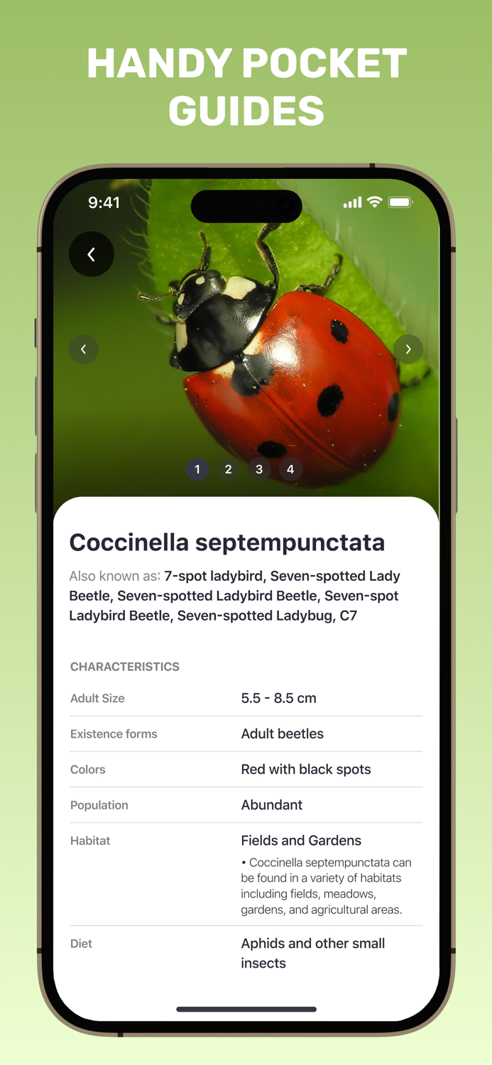 Insect Identifier Bug ID