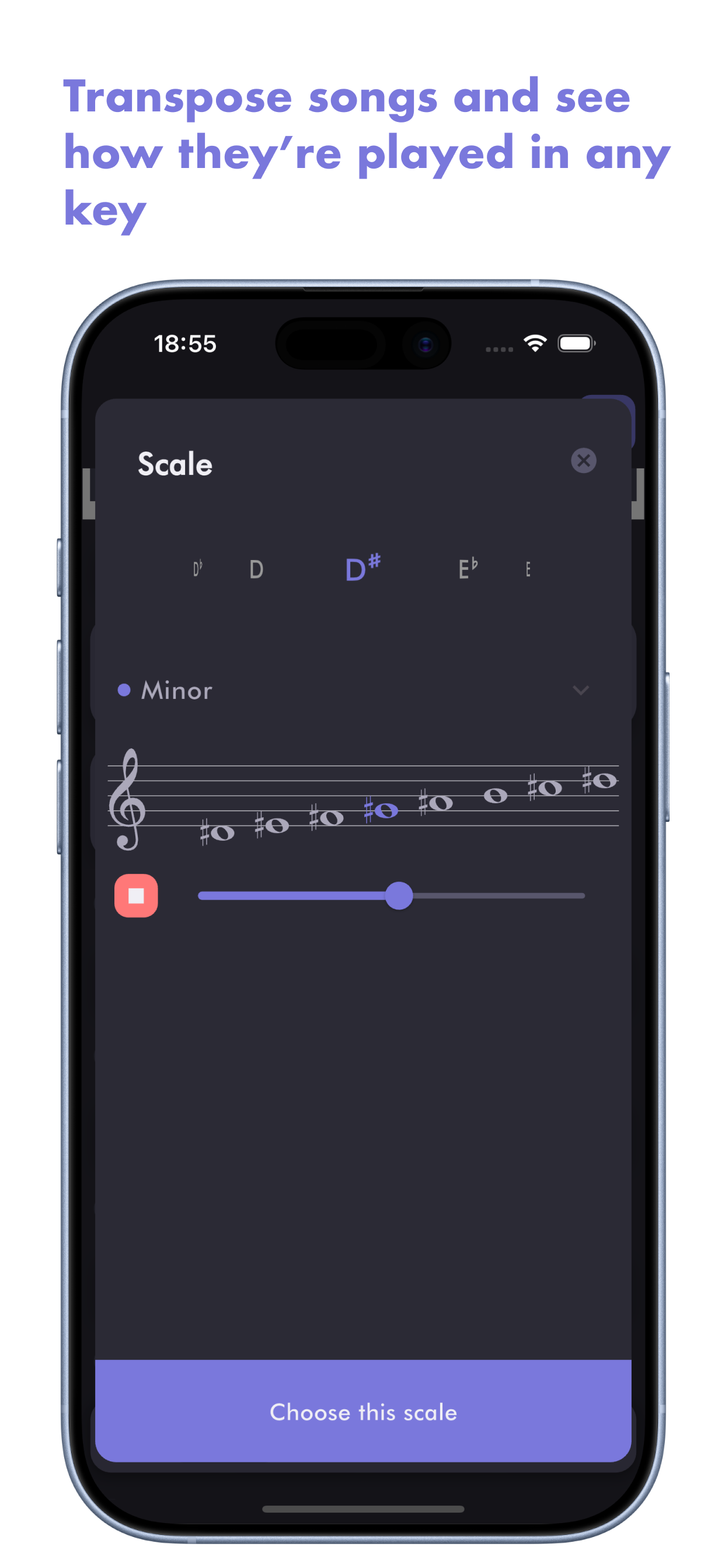 Horucco: Chord Progressions