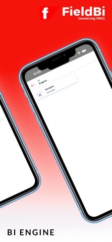 FieldBi screenshot