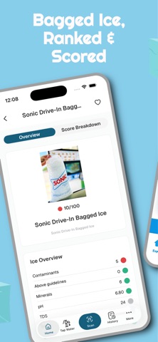 IceScore screenshot
