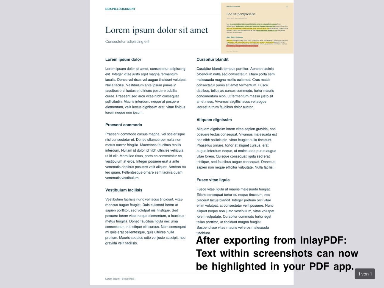 Screenshot 10 of InlayPDF