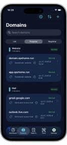 Domain Checker: DNS & SSL screenshot